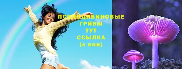 твердый Верея