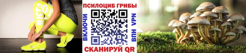 нарко площадка как зайти  Горно-Алтайск  Псилоцибиновые грибы Psilocybine cubensis  сколько стоит 