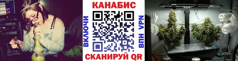 Конопля OG Kush  Горно-Алтайск 